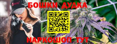 гашик Малгобек