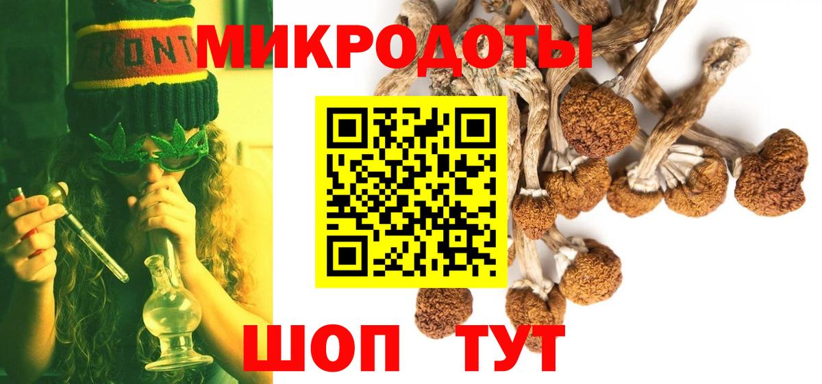 Псилоцибиновые грибы Psilocybe Великие Луки