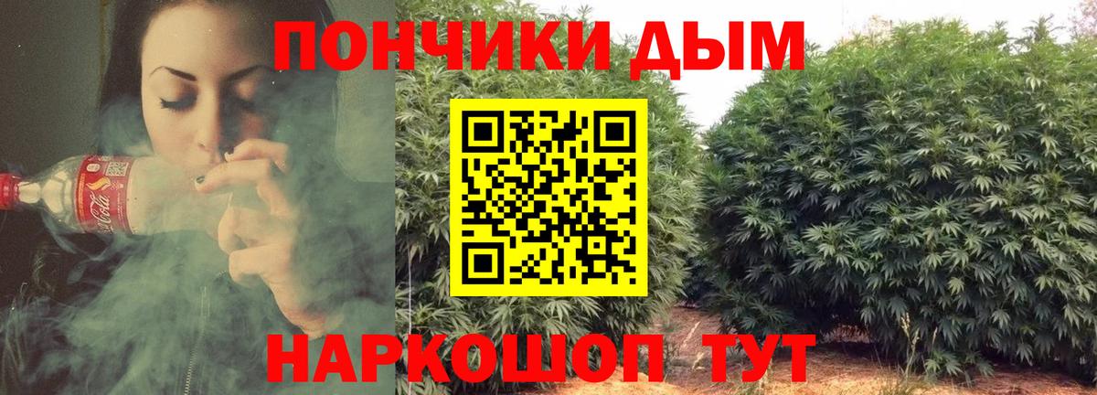 Шишки марихуана марихуана Великие Луки